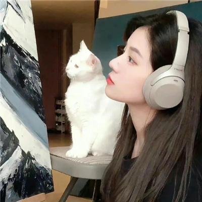 鸟儿们的奇幻冒险